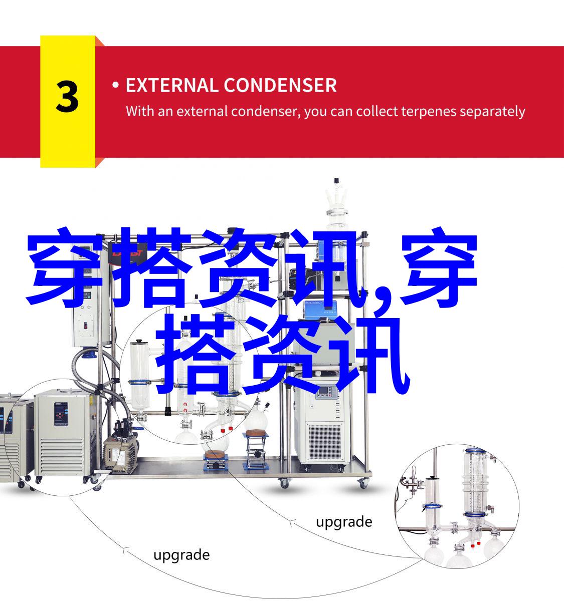 各种衣服的图片大全